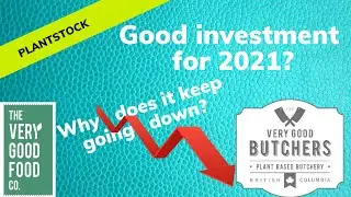 The Very Good Food Company: Good investment for 2021?