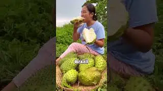 Лучшие бразильские фрукты, которые вам обязательно нужно попробовать.