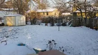 Throwing a Wooden Disc Golf Disc,  Zone Putter