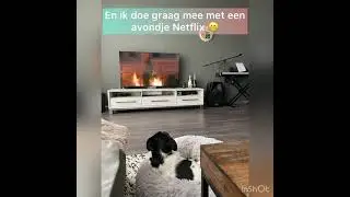 wfd2017 Coco nov 2022