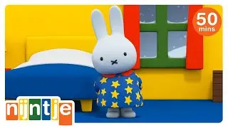 ga slapen met nijntje | nijntje | het beste van nijntje