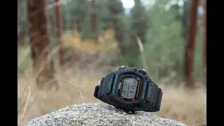 Casio DW290: 90's Throwback Tough