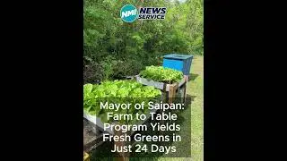 Farm to Table Program Yields Fresh Greens in Just 24 Days
