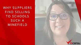 Why suppliers find selling to schools such a minefield