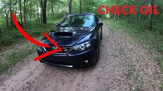 How to check oil Subaru WRX STI (EASY)