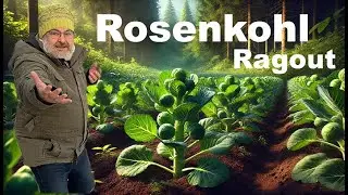 Rosenkohl Kohlsprossen Ragout Star der Winterk&uuml;che
