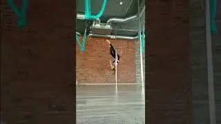 #poledance #polesport #polemove #polemoves #polecombo #poletutorial #polecombos #poleart