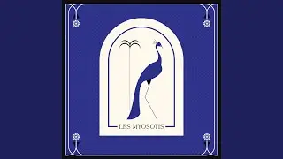 Les Myosotis