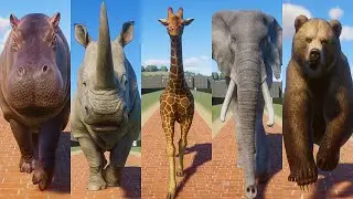 Most Reliable Runner Animal in Biggest Animals Category Planet Zoo included Giraffe, Bear, etc