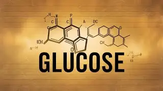 The Shocking Truth About Linear Glucose Molecules