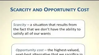 Introduction to Economics: Scarcity and Opportunity Cost | Episode 35