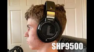 Are these the best entry-level open backs? | Philips SHP9500 Review