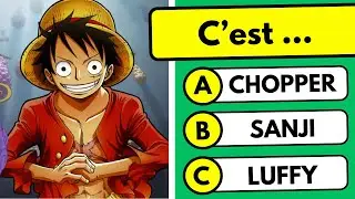 Quiz One Piece 🏴‍☠️  – Connais-tu vraiment tous les pirates ?  | Quiz Anime