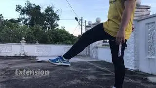 Body Joint Movement Dance 100%