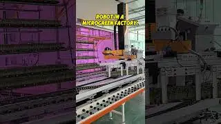 Robot in a microgreen factory😎 #automation #palletizer #robot#manufacturer #depalletizing#factory