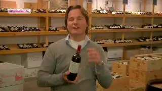 Wijncoach Joris - Itali&euml; - Zenato Valpolicella Superiore