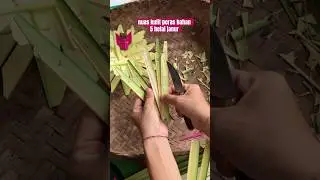 nuas kulit peras