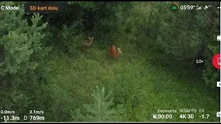 SİNOP BOYABAT GÜNPINAR KAYADİBİ KÖYÜ AKÇAKAYA (DJİ MİNİ 2 DRONE CEKİMİ)