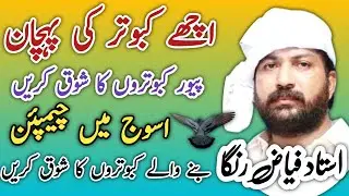 Achay kabootar ki Pehchan || ache kabootar ki pehchan