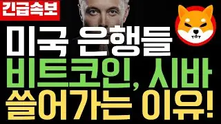 [시바이누SHIB] JP모건과 웰스파고 같은 미국은행들이 극심한 조정장에서도 시바이누를 매집하는 이유는 무엇인가?   #시바이누코인 #시바이누 #시바이누코인전망