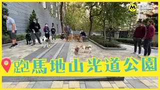 【十八區狗公園】跑馬地山光道公園
