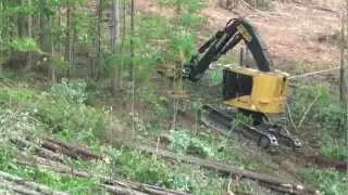 Feller Buncher Tigercat L830C