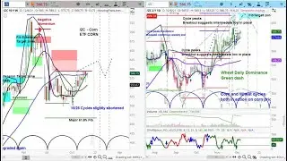 Corn Futures Market | Chart Review & Price Projections | Cycle & Technical Analysis
