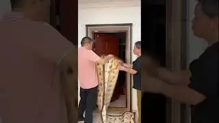 Amazingly and greatfylly decorating system for door design too awesome and too beautiful clips.
