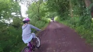 Forest Way - July 2017