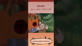 Learning English with Marwa - (idioms&vocab) Beats me, Boss. Splendid