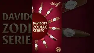 Davidoff Limited Edition Chinese Zodiac Series #shorts
