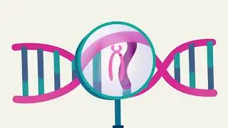 Breast Cancer Network Australia (BCNA) | What is Breast Cancer?