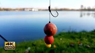 Zasiadka karpiowa - jesienne karpiowanie...