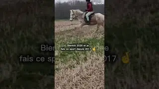 j&rsquo;ai que mon galop 1 parce que je pr&eacute;f&egrave;re savoir comment fonctionne un cheval avant de savoir monter