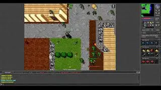 Old Tibia - EK 185 hunting on Orc Fortress - Jaquera (Chimera 2006 7.6)