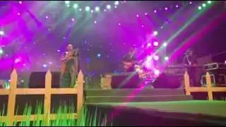 Paddy Fields 2016 | Deori Bishu from the North East India