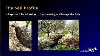 Soil and Irrigation Management