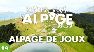 Entre lac et montagne, d&eacute;couvrez l'alpage de Joux