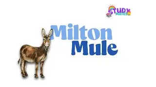 Avance diario ABCs - Milton Mule 