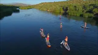 Paddle Boarding at the Salt River