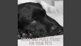 Music for Sleeping and Deep Sleep Induction