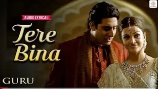 Tere Bina