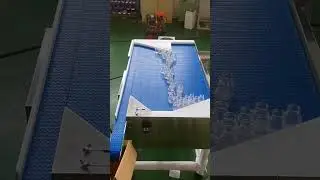 Bottle Accumulation Table Top Conveyor
