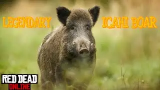 Tracking Legendary Icahi Boar | Red Dead Online [4K]