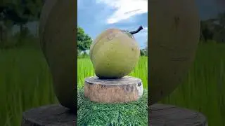 The Best Coconut Cutting Ever #satisfying #shorts