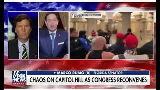 Rubio's reaction to white versus black rioters: 