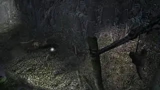 Dmc platinum nightmare day 3