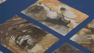 Ga&euml;lle Rouard: escurid&atilde;o flamejante