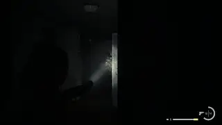 Alan Wake 2 Glitch