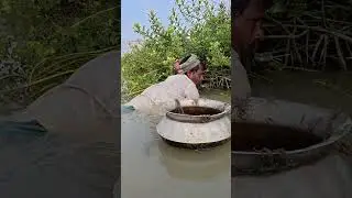 Amazing Asian people hand fishing #shorts